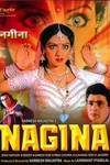 Nagina