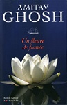 Les deux derniers romans d’Amitav Ghosh